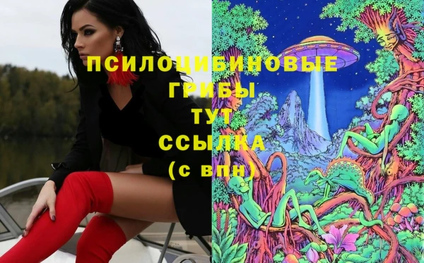 каннабис Богданович
