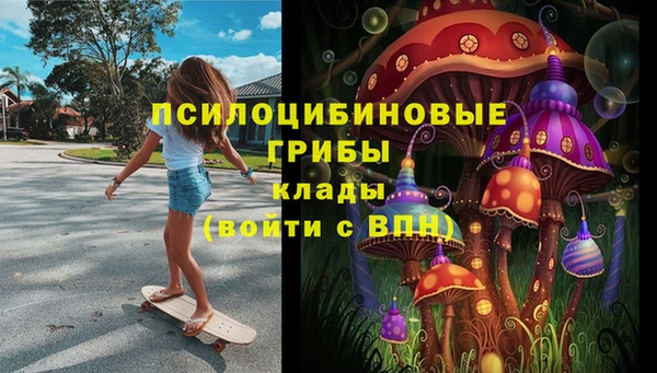 COCAINE Богородицк