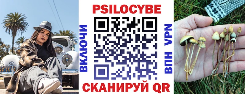kraken ТОР  Южноуральск  Галлюциногенные грибы Cubensis 